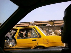 Article : Dans la peau d’un chauffeur de taxi de Conakry