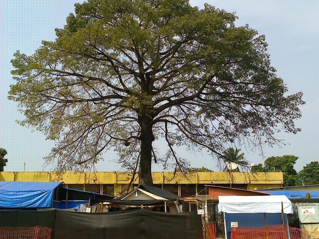 Article : Guinée, un an d’Ebola : la cata !