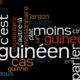 Article : Parlez-vous le « guinéen » ? top 10 des mots et expressions français aux couleurs locales