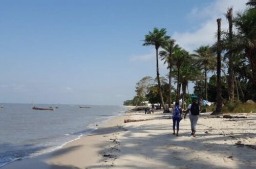 Article : Tayaki, un village de Conakry écartelé entre beauté et précarité